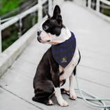 Stubborn Shiba Co - Blue Plaid Bandana