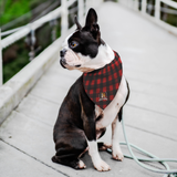 Stubborn Shiba Co - Red Plaid Bandana