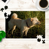 Create your own puzzle with YOUR Shiba!