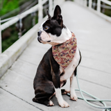 Japanese Kimono Bandana - Akai