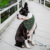 Japanese Kamon Shiba - Dark Green Bandana - Stubborn Shiba Co