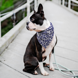 Blue w/ White Spiral - Bandana