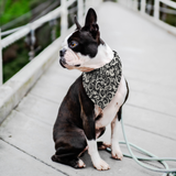 Black w/ White Spiral - Bandana