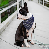 Japanese Kamon Shiba - Dark Blue Bandana - Stubborn Shiba Co