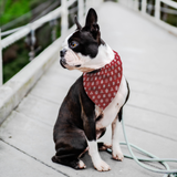 Japanese Kamon Shiba - Dark Red Bandana - Stubborn Shiba Co