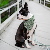 White w/ Green Spiral - Bandana