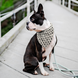 Japanese Kamon Shiba - Off White Bandana