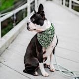 Green w/ White Spiral - Bandana