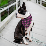 Subborn Shiba Co - Pink Plaid Bandana